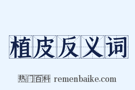 植皮反义词是什么意思的图片